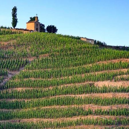 Pres Des Vignes Lägenhet Crozes-Hermitage Exteriör bild