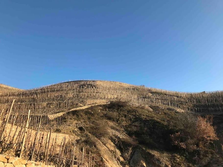 Pres Des Vignes Lägenhet Crozes-Hermitage Exteriör bild